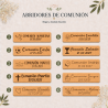 Abridor de Madera Personalizado para Comunión Grabado con Láser - Abridor Imán Personalizado Comunión